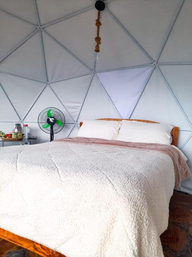 Luxury tent Juncos Glamping